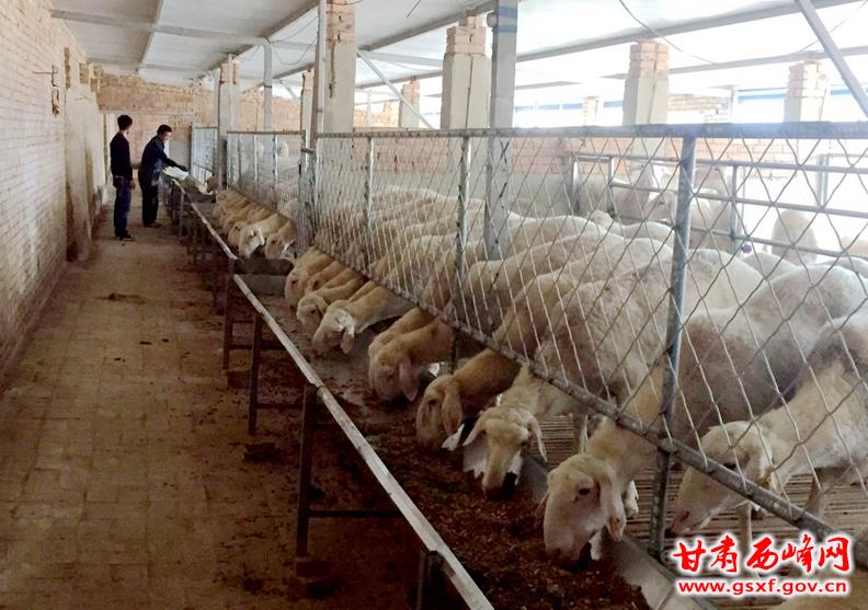 webwxgetmsgimg (1).jpg webwxgetmsgimg (1).jpg