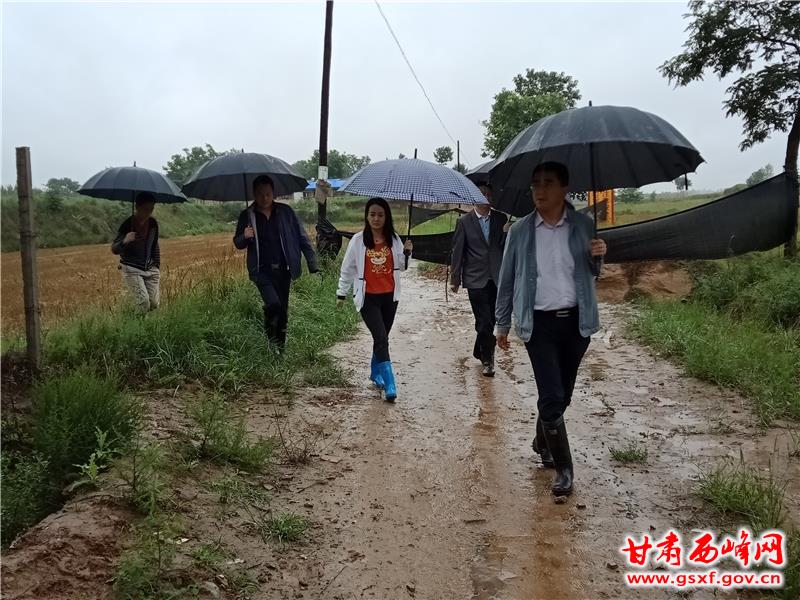 现场查看双桐地质灾害隐患点.jpg 现场查看双桐地质灾害隐患点.jpg